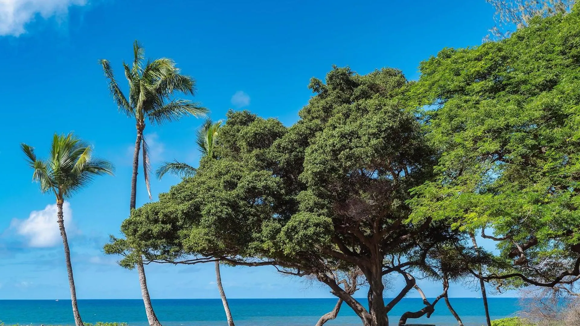 Haleakala Shores A-308 - Ocean/Mountain Views, Stylish 2Br/2Ba, Lanai, Ac, Wi-Fi Wailea  United States